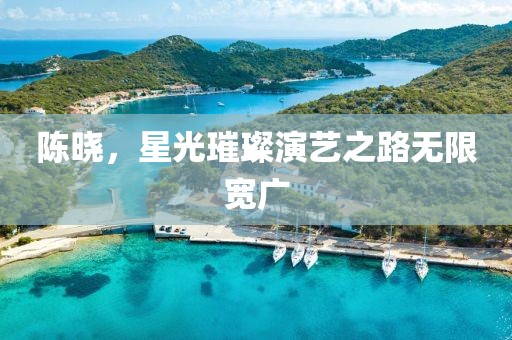 陳曉，星光璀璨演藝之路無限寬廣