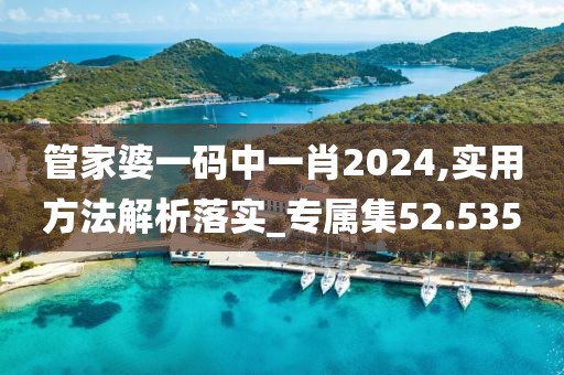 管家婆一碼中一肖2024,實用方法解析落實_專屬集52.535