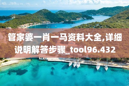 管家婆一肖一馬資料大全,詳細(xì)說(shuō)明解答步驟_tool96.432
