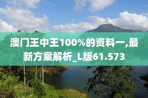 澳門王中王100%的資料一,最新方案解析_L版61.573