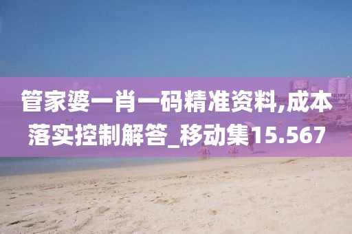 管家婆一肖一碼精準資料,成本落實控制解答_移動集15.567