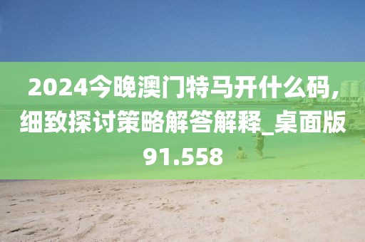 2024今晚澳門特馬開什么碼,細致探討策略解答解釋_桌面版91.558