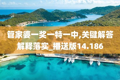 管家婆一獎(jiǎng)一特一中,關(guān)鍵解答解釋落實(shí)_播送版14.186