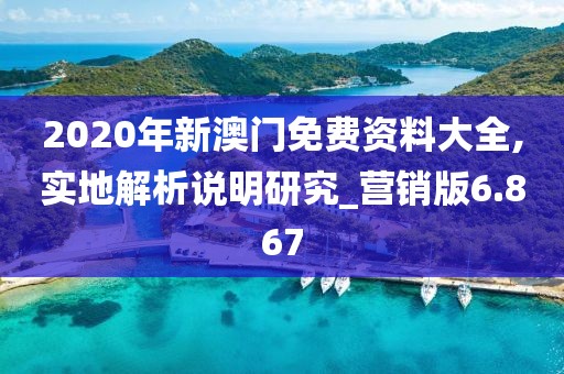 2020年新澳門免費資料大全,實地解析說明研究_營銷版6.867
