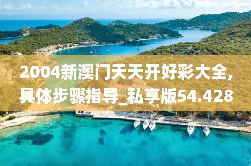 2004新澳門天天開好彩大全,具體步驟指導_私享版54.428