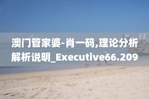 澳門管家婆-肖一碼,理論分析解析說明_Executive66.209