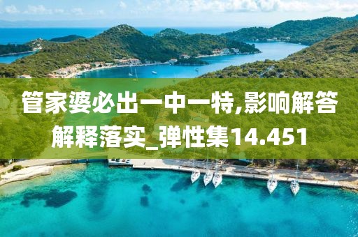 管家婆必出一中一特,影響解答解釋落實_彈性集14.451