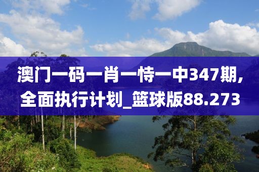 澳門(mén)一碼一肖一恃一中347期,全面執(zhí)行計(jì)劃_籃球版88.273