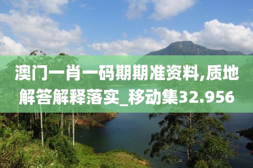 澳門一肖一碼期期準(zhǔn)資料,質(zhì)地解答解釋落實(shí)_移動(dòng)集32.956
