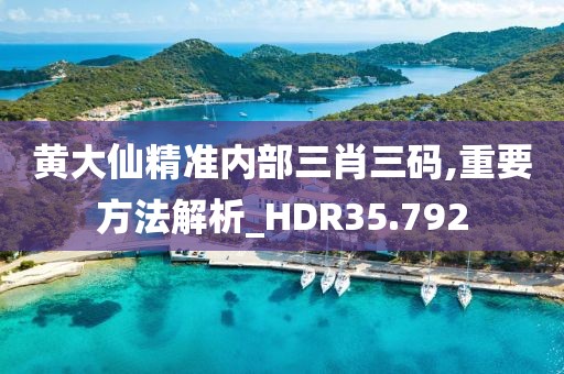 黃大仙精準內(nèi)部三肖三碼,重要方法解析_HDR35.792