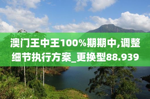 澳門王中王100%期期中,調整細節(jié)執(zhí)行方案_更換型88.939