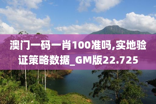 澳門一碼一肖100準嗎,實地驗證策略數(shù)據(jù)_GM版22.725
