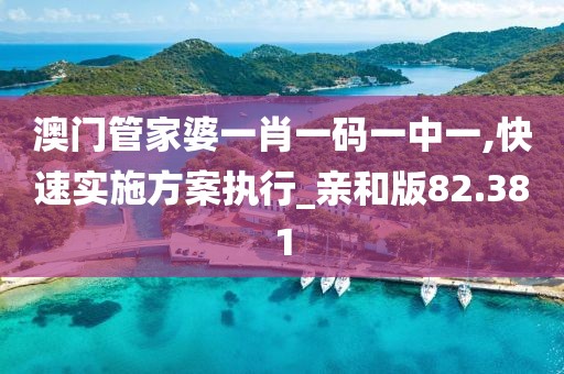 澳門管家婆一肖一碼一中一,快速實(shí)施方案執(zhí)行_親和版82.381