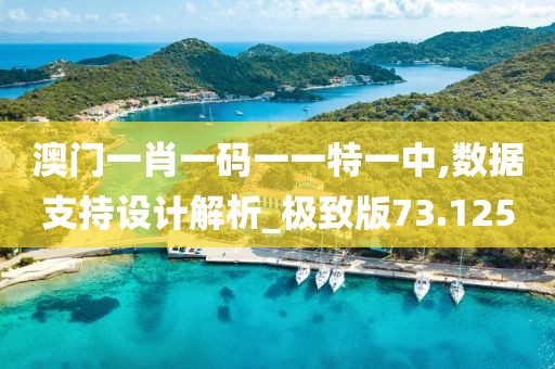 澳門一肖一碼一一特一中,數(shù)據(jù)支持設(shè)計解析_極致版73.125