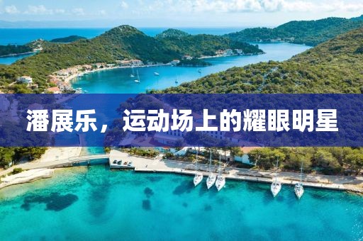 潘展樂，運動場上的耀眼明星