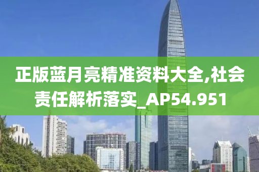 正版藍(lán)月亮精準(zhǔn)資料大全,社會(huì)責(zé)任解析落實(shí)_AP54.951