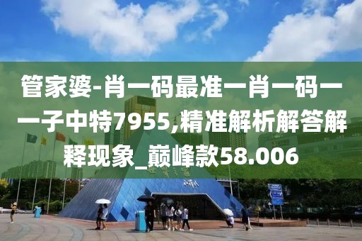 管家婆-肖一碼最準(zhǔn)一肖一碼一一子中特7955,精準(zhǔn)解析解答解釋現(xiàn)象_巔峰款58.006
