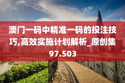 澳門一碼中精準一碼的投注技巧,高效實施計劃解析_原創(chuàng)集97.503