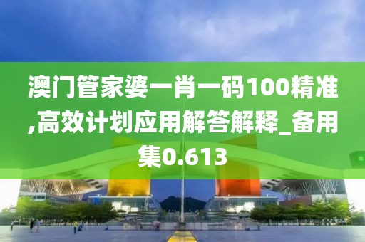 澳門管家婆一肖一碼100精準(zhǔn),高效計(jì)劃應(yīng)用解答解釋_備用集0.613