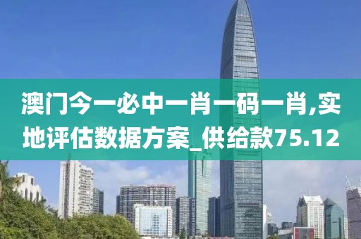 澳門今一必中一肖一碼一肖,實(shí)地評(píng)估數(shù)據(jù)方案_供給款75.12