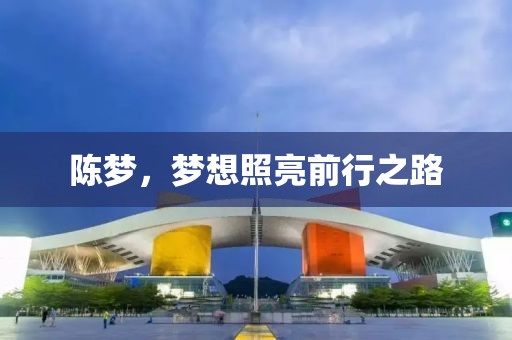 夜?jié)瓱o殤 第32頁