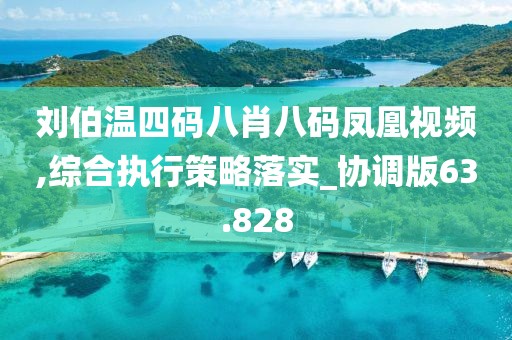 劉伯溫四碼八肖八碼鳳凰視頻,綜合執(zhí)行策略落實(shí)_協(xié)調(diào)版63.828