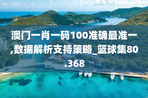 澳門(mén)一肖一碼100準(zhǔn)確最準(zhǔn)一,數(shù)據(jù)解析支持策略_籃球集80.368