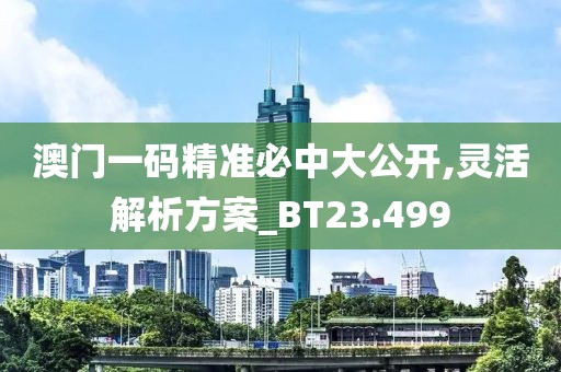 澳門一碼精準(zhǔn)必中大公開,靈活解析方案_BT23.499