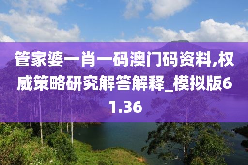 管家婆一肖一碼澳門(mén)碼資料,權(quán)威策略研究解答解釋_模擬版61.36
