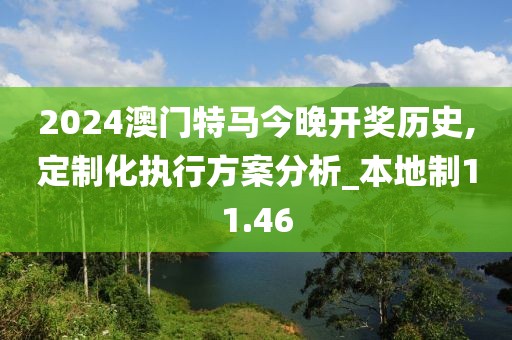 2024澳門特馬今晚開獎歷史,定制化執(zhí)行方案分析_本地制11.46