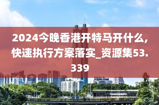 2024今晚香港開(kāi)特馬開(kāi)什么,快速執(zhí)行方案落實(shí)_資源集53.339