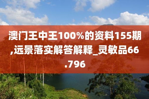 澳門王中王100%的資料155期,遠(yuǎn)景落實(shí)解答解釋_靈敏品66.796