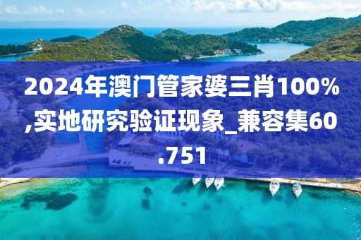 2024年澳門管家婆三肖100%,實地研究驗證現(xiàn)象_兼容集60.751