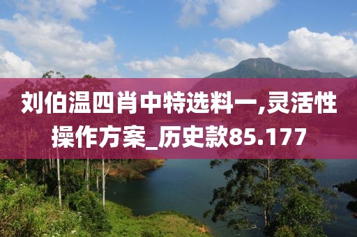 劉伯溫四肖中特選料一,靈活性操作方案_歷史款85.177