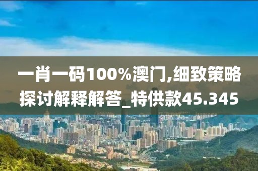 一肖一碼100%澳門,細致策略探討解釋解答_特供款45.345