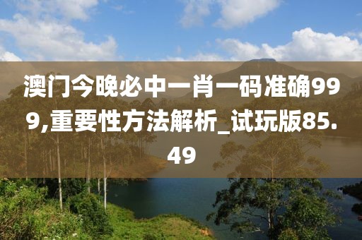 澳門今晚必中一肖一碼準(zhǔn)確999,重要性方法解析_試玩版85.49