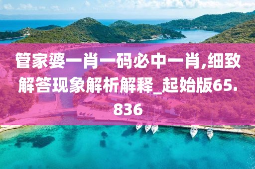 管家婆一肖一碼必中一肖,細(xì)致解答現(xiàn)象解析解釋_起始版65.836
