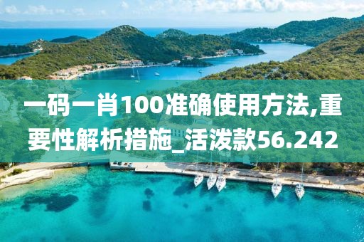 一碼一肖100準(zhǔn)確使用方法,重要性解析措施_活潑款56.242