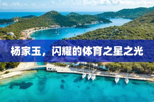 楊家玉，閃耀的體育之星之光