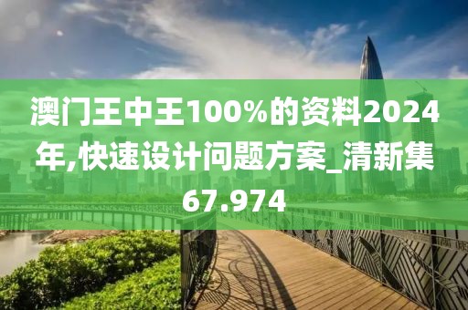 澳門王中王100%的資料2024年,快速設(shè)計(jì)問題方案_清新集67.974