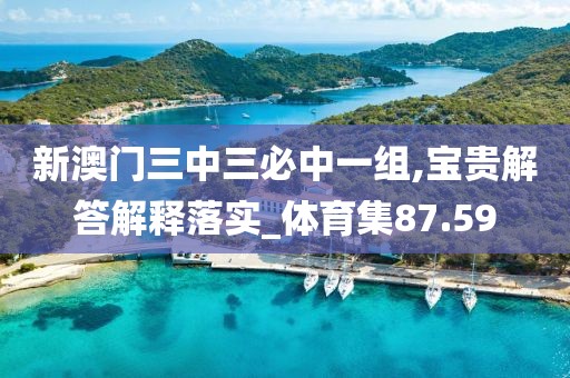 新澳門三中三必中一組,寶貴解答解釋落實(shí)_體育集87.59