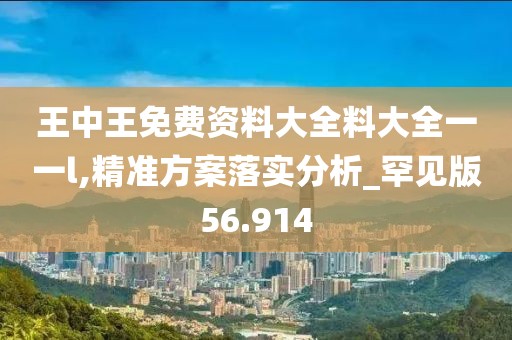 王中王免費資料大全料大全一一l,精準方案落實分析_罕見版56.914