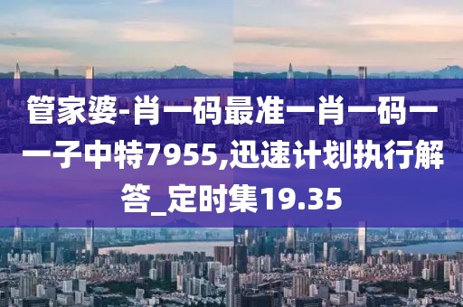 管家婆-肖一碼最準一肖一碼一一子中特7955,迅速計劃執(zhí)行解答_定時集19.35