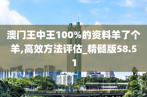 澳門(mén)王中王100%的資料羊了個(gè)羊,高效方法評(píng)估_精髓版58.51