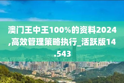 澳門(mén)王中王100%的資料2024,高效管理策略執(zhí)行_活躍版14.543