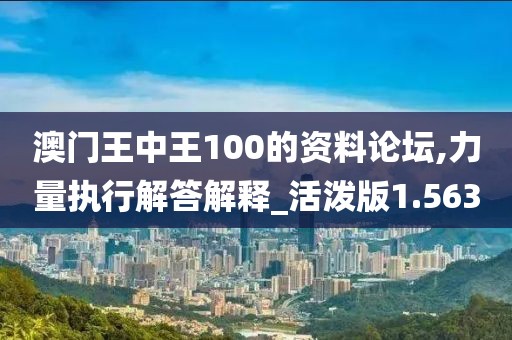 澳門王中王100的資料論壇,力量執(zhí)行解答解釋_活潑版1.563