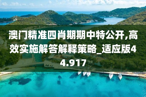 澳門精準(zhǔn)四肖期期中特公開,高效實(shí)施解答解釋策略_適應(yīng)版44.917