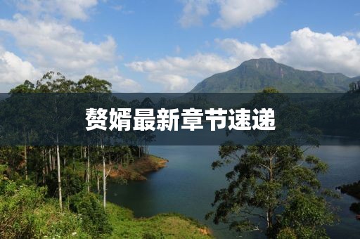 贅婿最新章節(jié)速遞