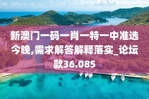 新澳門一碼一肖一特一中準選今晚,需求解答解釋落實_論壇款36.085