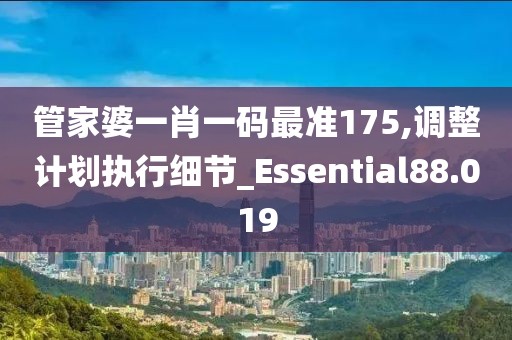 管家婆一肖一碼最準175,調(diào)整計劃執(zhí)行細節(jié)_Essential88.019